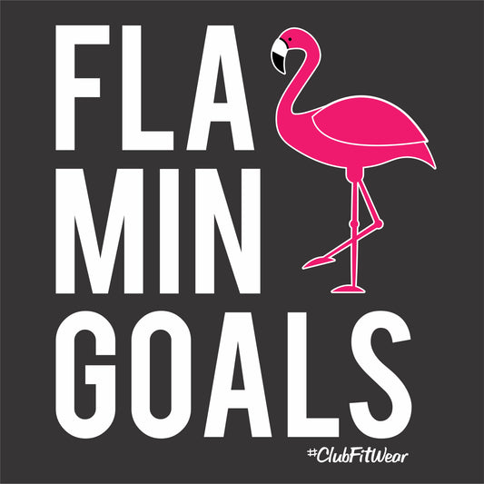 FlaminGOALS